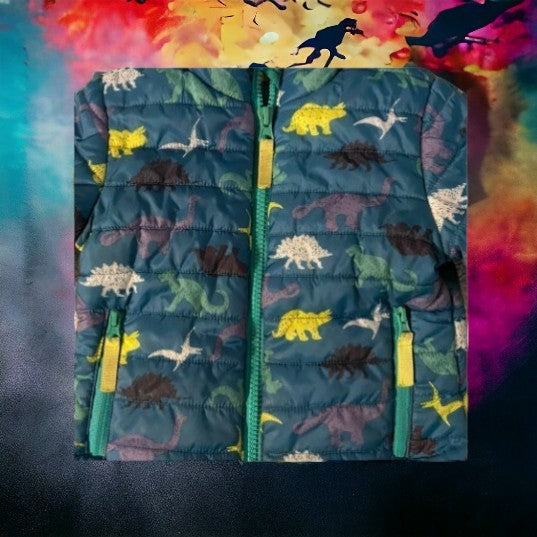 Cat & Jack Girl’s Colorful Dinosaur Design Coat & Mittens