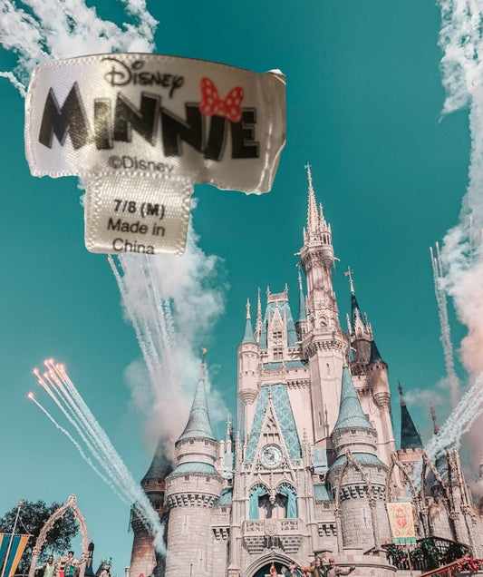 Disney Appliqué Graphic Tank Top