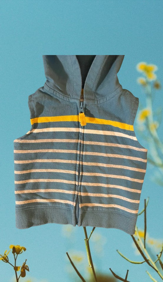 Toddler's Sleeveless Striped Zip-up Hoodie