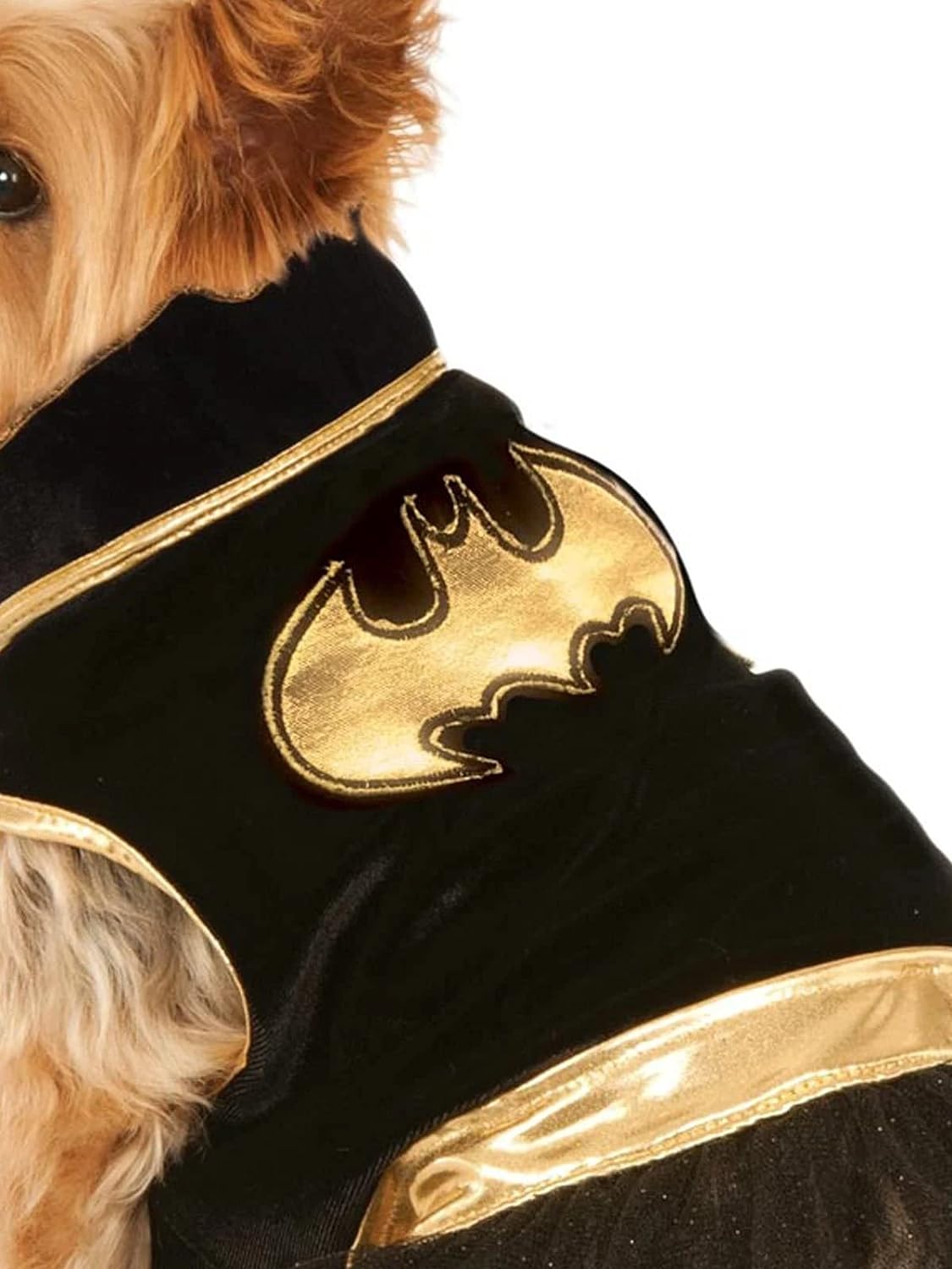 Batgirl pet costume features a Black and Gold tutu dress with the bat symbol