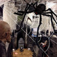 Halloween Spider Web and Giant Spider Decoration