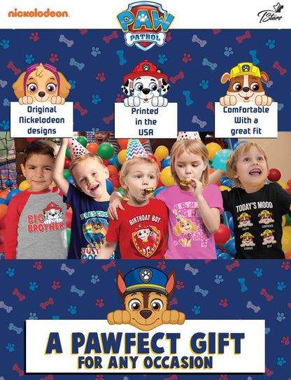 Paw Patrol 2nd Birthday Boy Construction