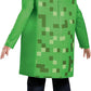 If you love Minecraft then you will love this very cool costume