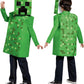 If you love Minecraft then you will love this very cool costume