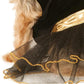 Batgirl pet costume features a Black and Gold tutu dress with the bat symbol