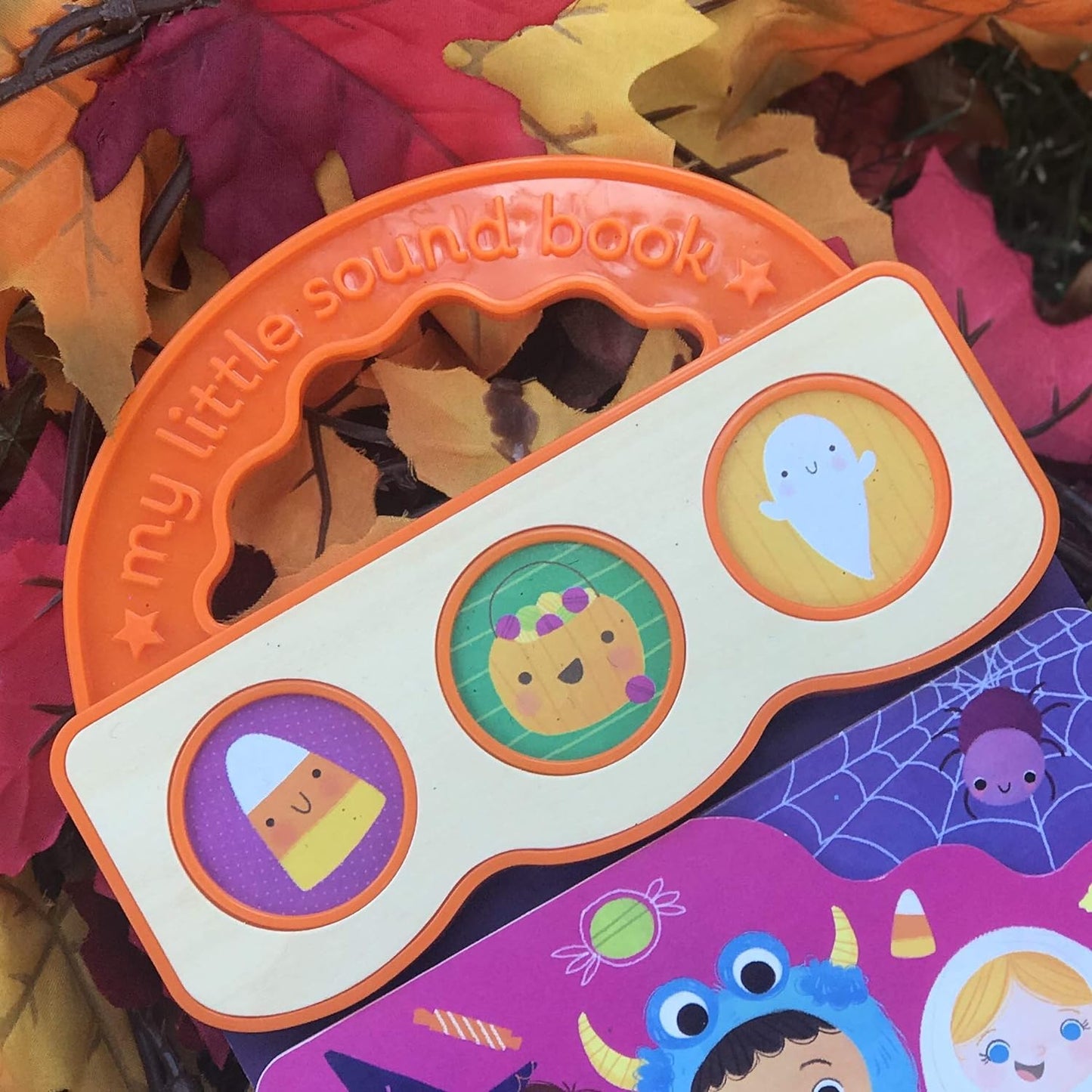 Trick Or Treat Sound Halloween Board Book