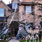 Halloween Spider Web and Giant Spider Decoration