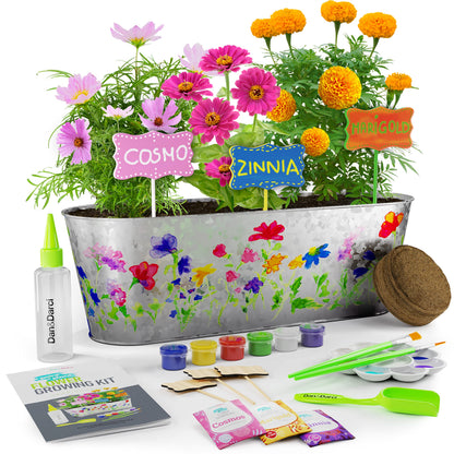Get creative with your gardening skills and produce a beautiful result with this all-in-one flower growing kit