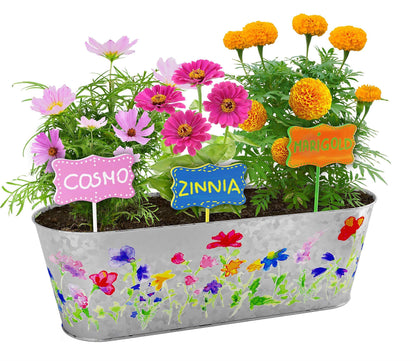 Get creative with your gardening skills and produce a beautiful result with this all-in-one flower growing kit