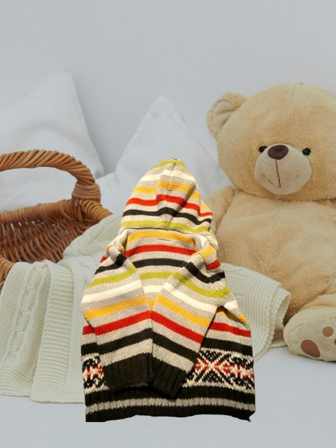 Multi-colored striped baby hooded sweater