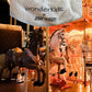 Wonderkids Carousel Applique Graphic Design Top