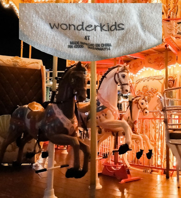 Wonderkids Carousel Applique Graphic Design Top