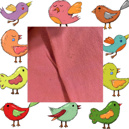 Enhance your little one's wardrobe with this Circo fun and stylish singing bird graphic tee