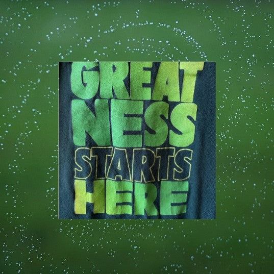 This Nike "Greatness Starts Here" Boy Graphic Tee is designed for active toddlers who are always on the go