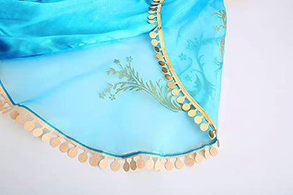 Arabian Princess Fancy Costume