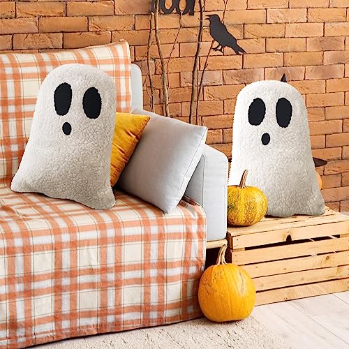 2 Pcs Halloween Throw Spooky Pillows